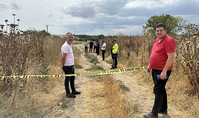 Belediye ekipleri, temizlik yaparken ceset buldu
