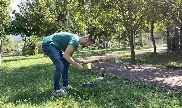 Bilecik&#039;in Osmaneli ilçesinde, sokak hayvanları için mama ve su bırakıldı