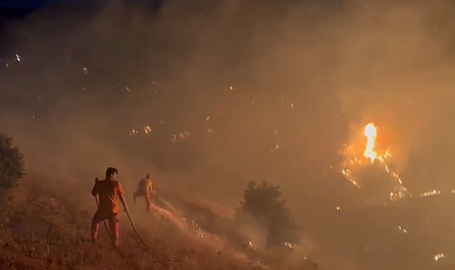 Bingöl&#039;de çıkan orman yangını ekiplerin ve vatandaşların desteğiyle kontrol altına alındı