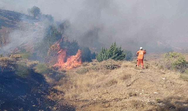 Bingöl&#039;ün Genç ilçesinde bir köyde çıkan orman yangını, söndürüldü