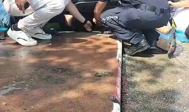 Bir cipin altına giren kediler kurtarıldı