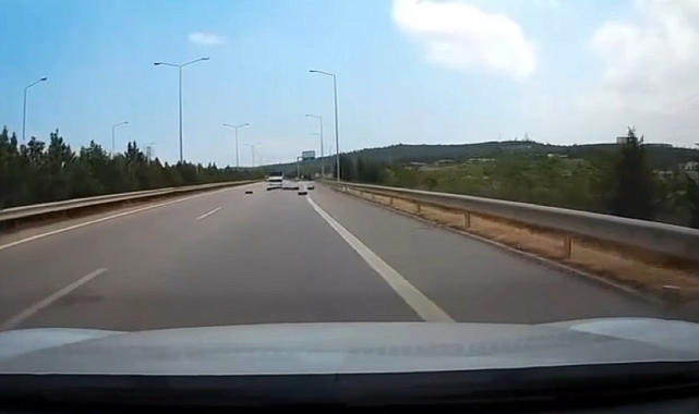 Bir kamyonetin arkasında yüklü olan meyve sebzeler yola saçıldı