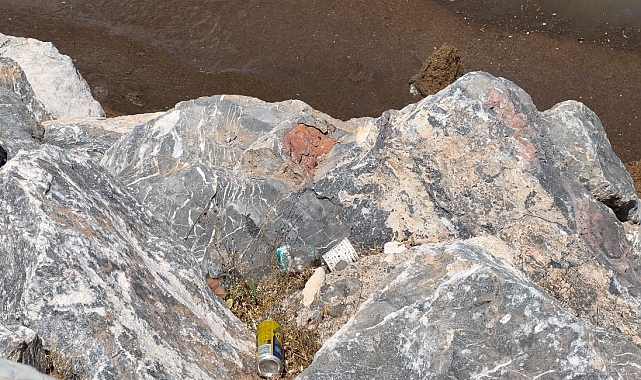 Bitlis&#039;in Tatvan ilçe sahilinde, gölden yaklaşık 20 ton çöp çıkarıldı