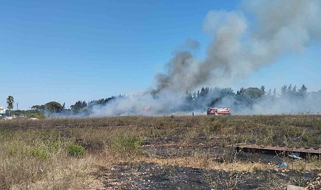 Boş arazide çıkan yangın ormanlık alana sıçradı
