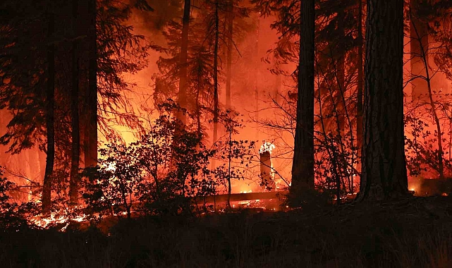 California tarihinin en büyük 6. orman yangınıyla mücadele ediyor