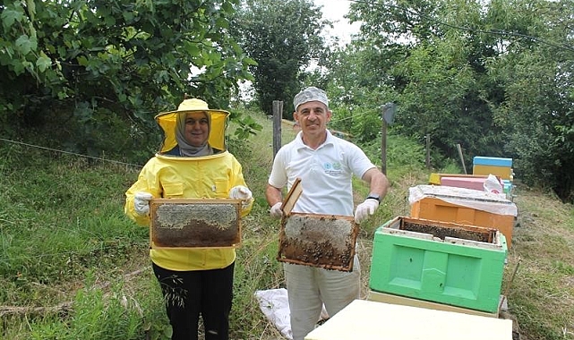 Coğrafi  işaretli kestane balı sağımı başladı