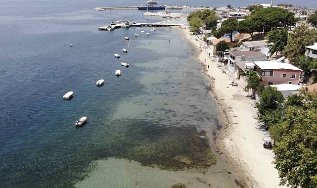 Deniz çayırı katliamı su altı kamerasına yansıdı