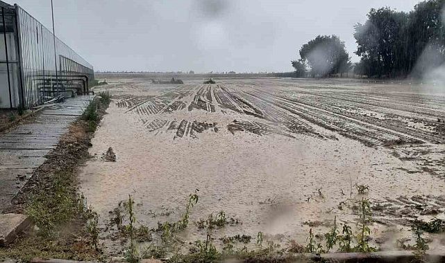 Dolu binlerce dönüm ekili alanı vurdu