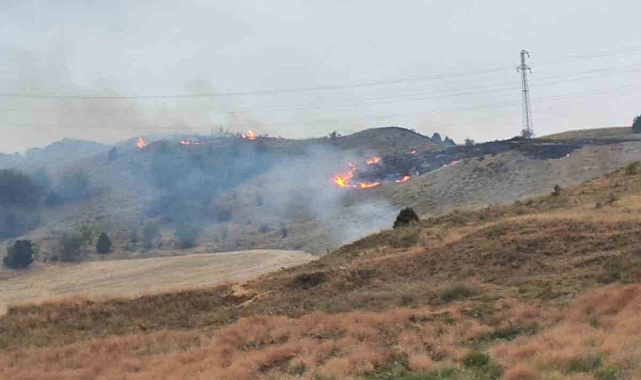 Ekiplerin hızlı müdahalesi, ormanlık alanda çıkan yangını söndürdü