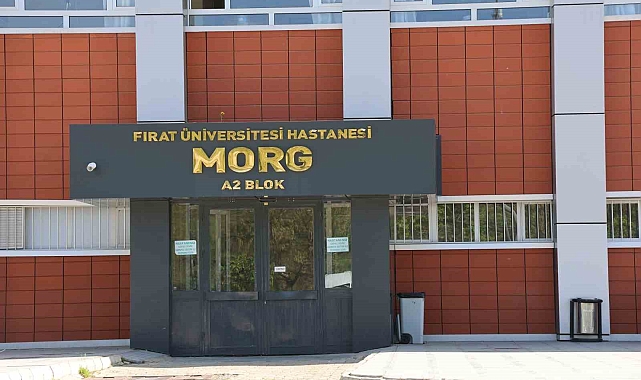 Elazığ&#039;da araç şarampole yuvarlandı: 1 ölü