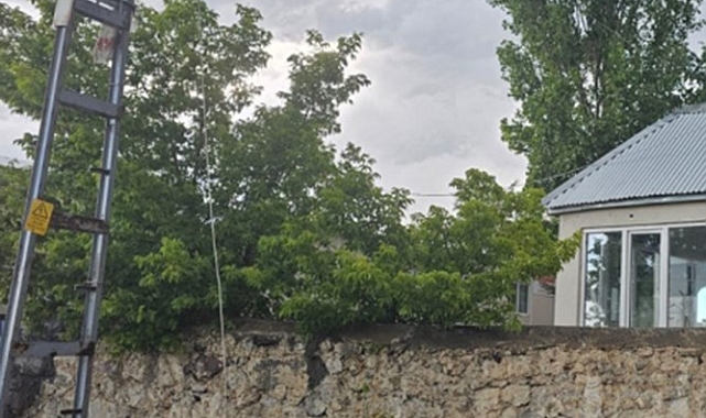 Elektrik teli kopma sonucu, 2 büyükbaş hayvan telef oldu