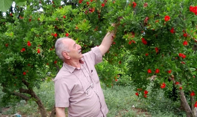 Emekli polis serinlemek için girdiği denizde boğularak hayatını kaybetti