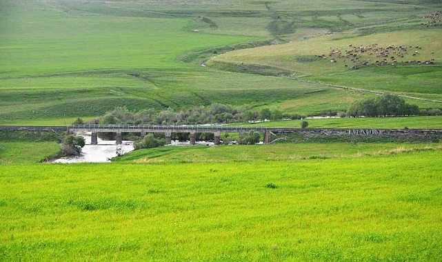Erzurum, Türkiye&#039;nin en büyük çayır-mera alanlarını içinde barındırıyor