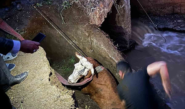 Erzurum&#039;da 3 gündür etkili olan yağış sele dönüştü ve hayatı felç etti