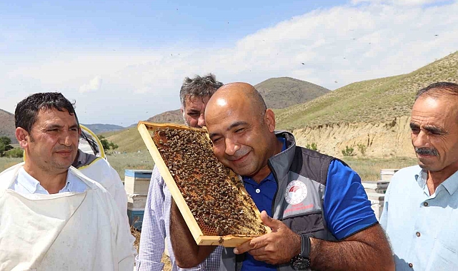 Erzurum&#039;da arıcılara ana arı üretimi öğretildi