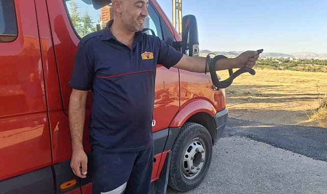 Ev içerisinde görülen yılan itfaiye eri tarafından yakalanarak doğaya bırakıldı