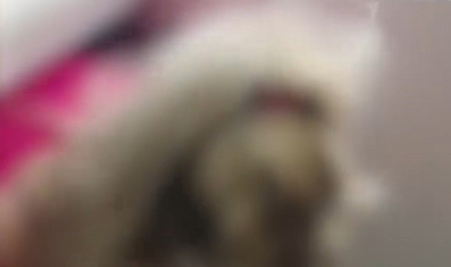 Firari kadın, mutfak dolabında saklanırken yakalandı