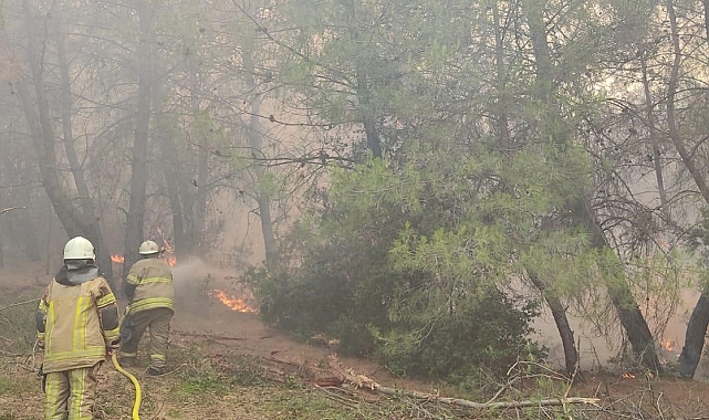 Gece gündüz alevlerin arasında