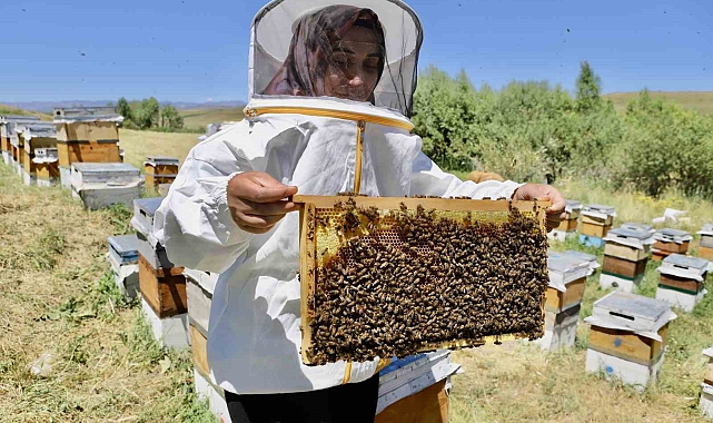 &quot;Genç Çiftçi Projesi&quot; ile arıcılık mesleğine adım atan kadın, yılda tonlarca bal elde ediyor