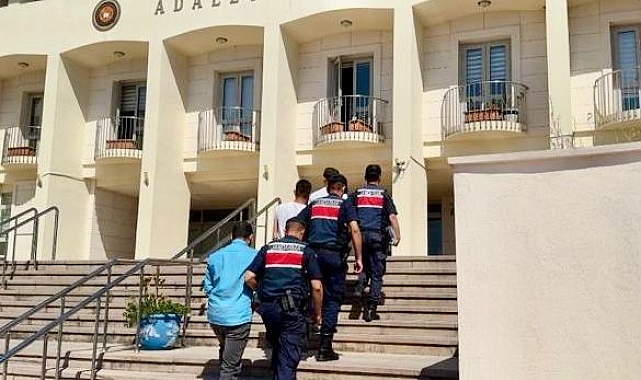 Göçmen kaçakçılığı operasyonunda 12 tutuklama