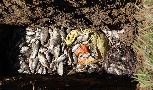 Gölette İsrail sazanı operasyonu: &quot;Balıkları bile siyonist&quot;