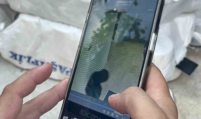 Hamile diye serbest kalan hırsıza, isyan etti