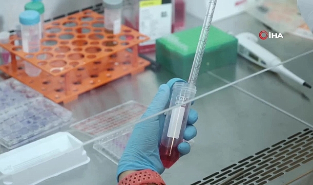 Hitit Üniversitesinde kalp krizi sonrası oluşan hasarlı dokuyu iyileştirecek biyomalzeme geliştirilecek