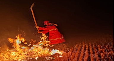 Iğdır’da anız yangını paniğe neden oldu