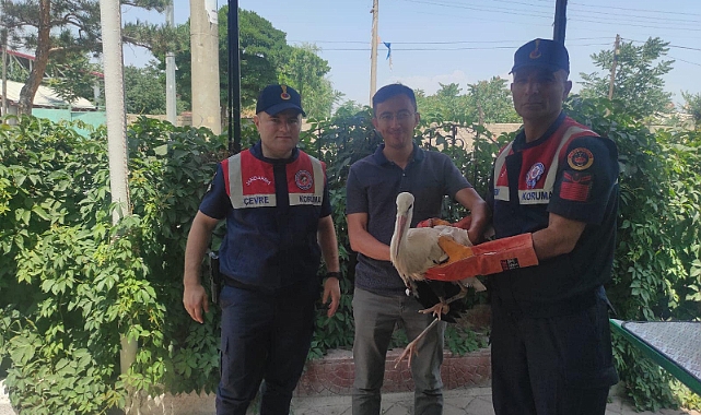 Iğdır’da güçten düşmüş halde bulunan leylek tedavi altına alındı