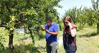 Iğdır’da meyve ağaçlarına izleme tuzakları asıldı