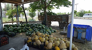 Iğdır’da sebze üreticileri fiyatlara isyan etti