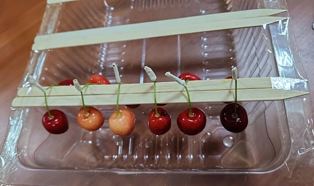 Iğdır Üniversitesinden meyvelerin raf ömrünü uzatan buluş