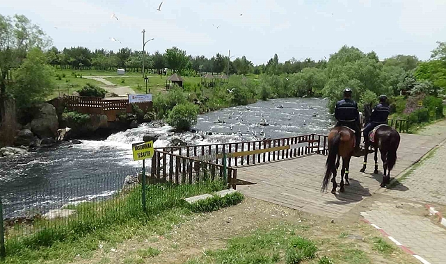 İnci Kefali Göçü Kültür ve Sanat Festivali&#039;ne büyük ilgi