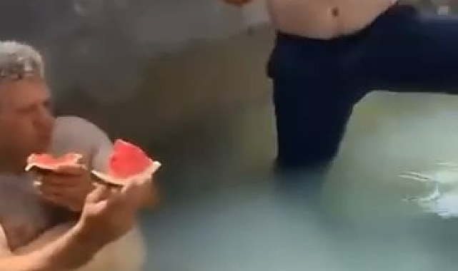 İşçiler, kepçeyi havuza çevirdi, sıcaktan bunalan köpekler denize girdi