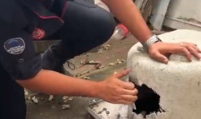 İtfaiye ekipleri, kafası küvete sıkışan kediyi kurtardı