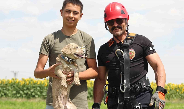 İtfaiye ekipleri obruğa düşen köpeği kurtardı