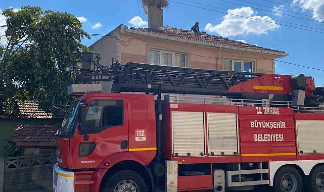 İtfaiye ekipleri, yaralı leyleği tedavi edilmek üzere veterinere götürdü