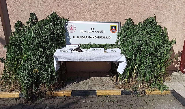 Jandarmanın eş zamanlı uyuşturucu operasyonunda 3 tutuklama