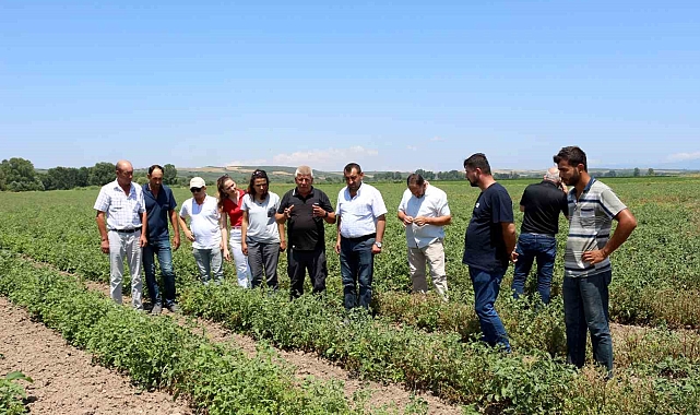Karacabey Ziraat Odası, fitotoksitite tehlikesini gündeme taşıdı