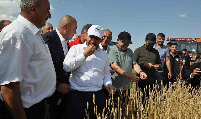 Kars&#039;ta hibeyle dağıtılan tohumları ekildi