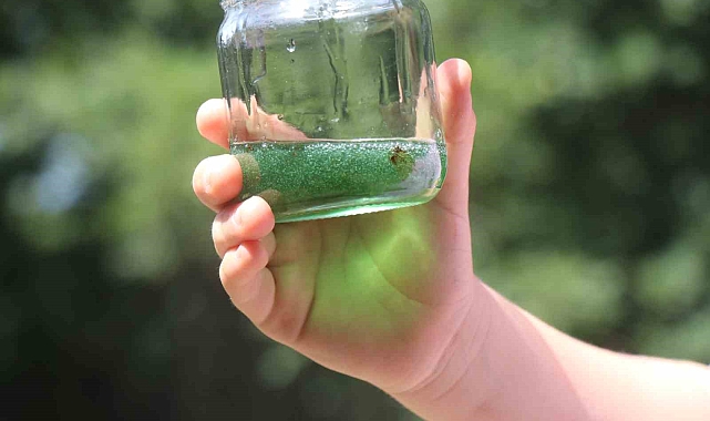 Kilogram fiyatı,  20-30 bin lira olan yeşil balı görenler şaşkınlığını gizleyemedi