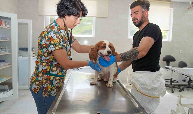 &quot;Kısırlaştır, aşılat, yerinde yaşat&quot;