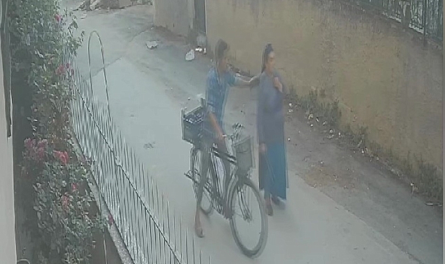 Kolyesini çalmak istediği kadından dayak yedi