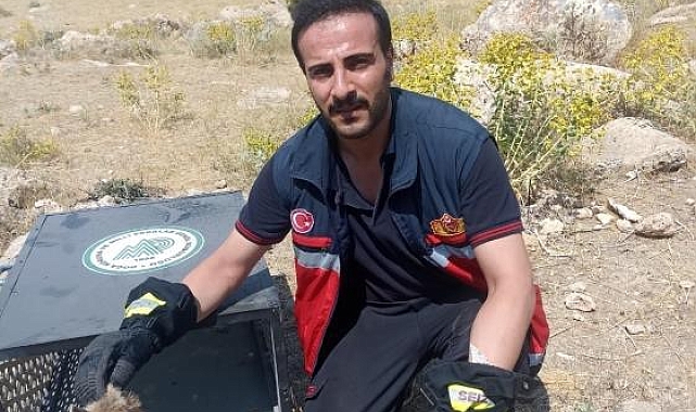 Kuyuya düşen yavru tilki kurtarıldı