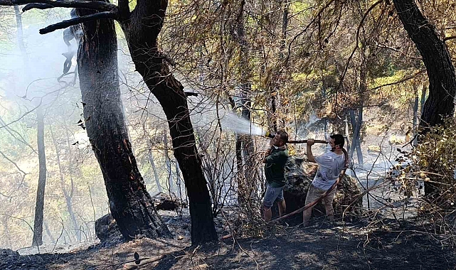 Mezarlıkta çıkan yangın ormana sıçradı