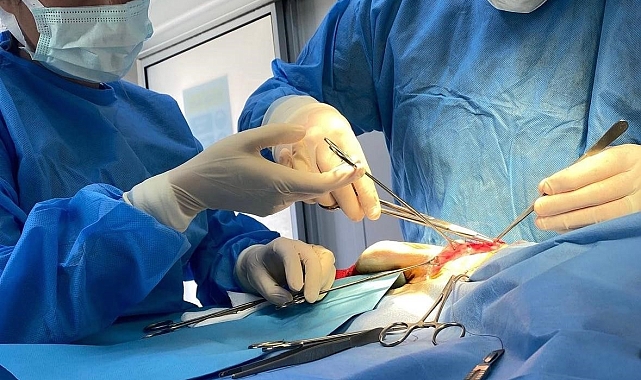 Osmangazi Belediyesi, 2024 yılının ilk yarısında 2 bin 170 sokak hayvanını kısırlaştırdı