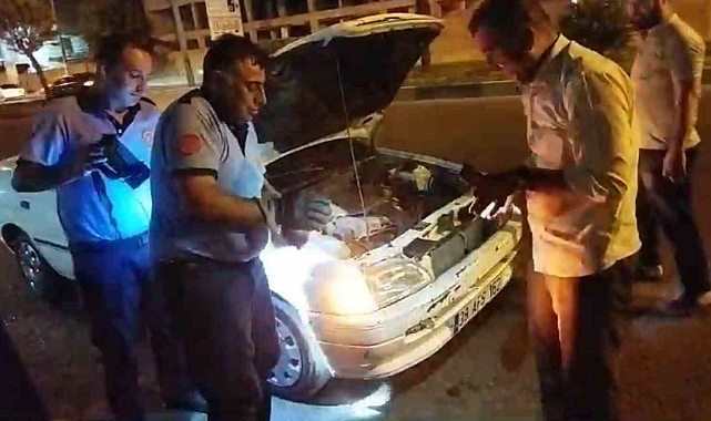 Otomobilin motor kısmına giren yavru kedi, kurtarıldı