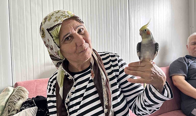 Papağanını günler sonra bulunan kadının göz yaşları yürekleri ısıttı