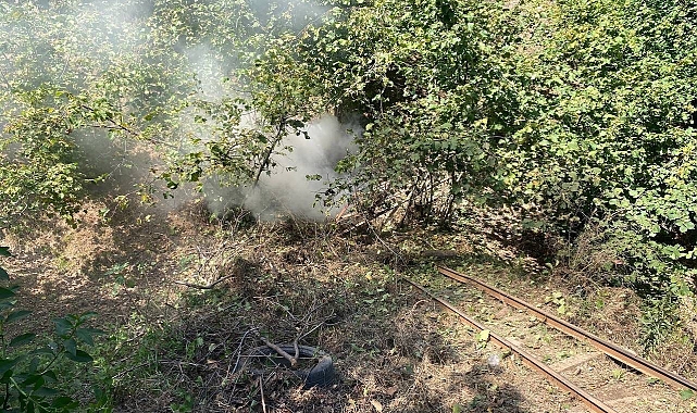 Ruhsatsız işletilen maden ocağında 2 ton kömür, ele geçirildi