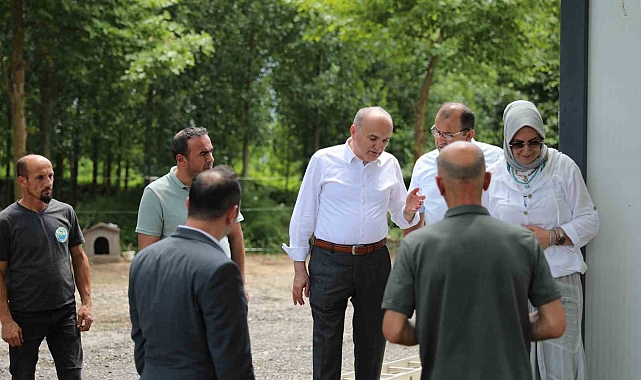 Sahipsiz sokak hayvanları sorununa düzce modeli örnek projeler